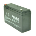 PKCELL Lifepo4 6v 12ah Sla Replacement Battery